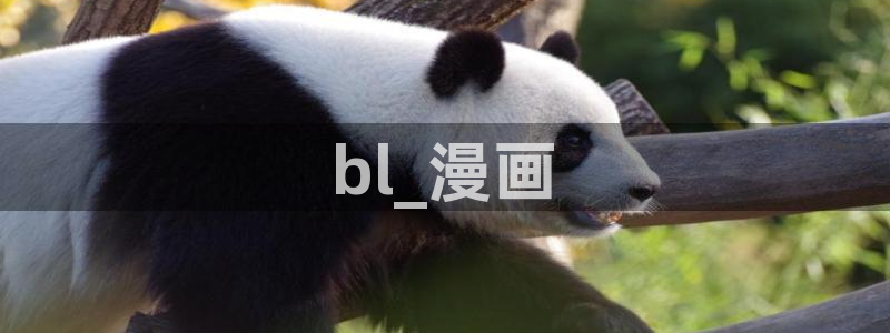 美丽新世界汗汗漫画：bl_漫画