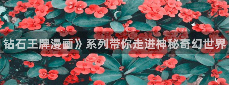 歪歪汗汗漫画sss快看：钻石王牌漫画》系列带你走进神秘奇幻世界
