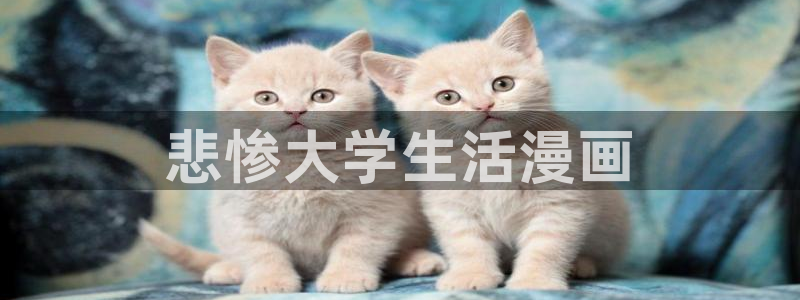 汗汗漫画官网在线观看：悲惨大学生活漫画