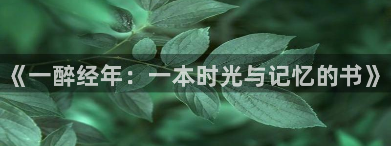 汗汗漫画一：《一醉经年：一本时光与记忆的书》